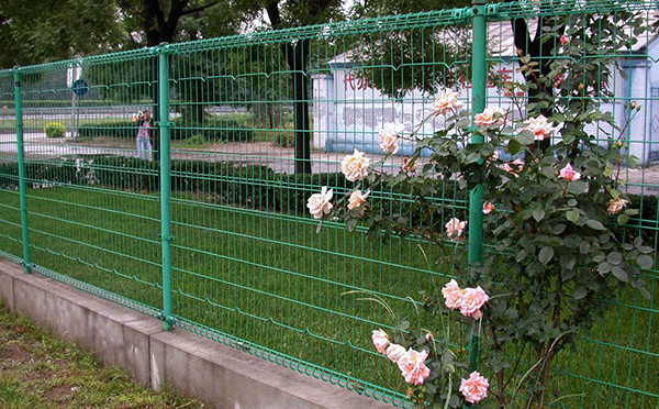 雙圈護欄網 雙圈護欄網